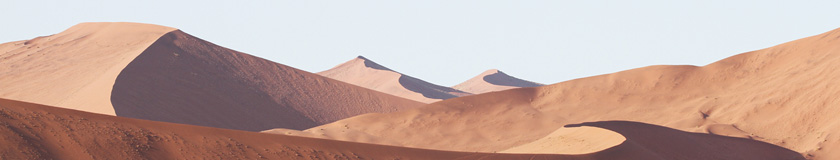 scheel