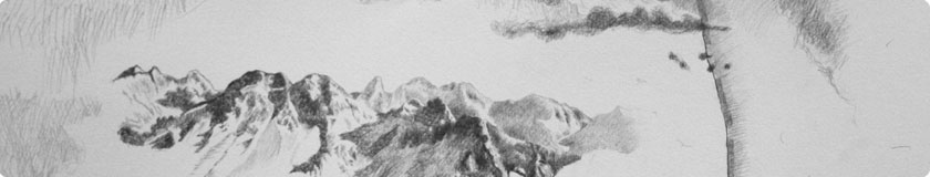cirsten widenhorn